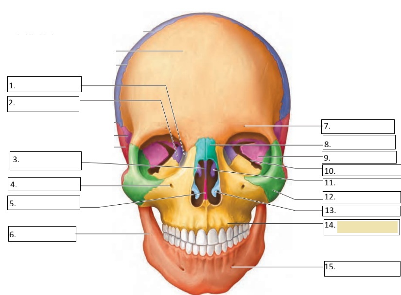 <p>14</p>