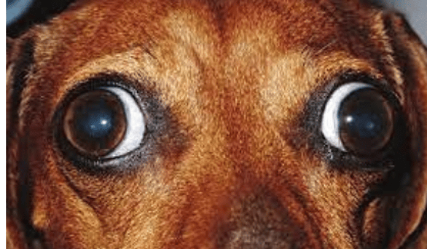 <p>what is this called?</p>