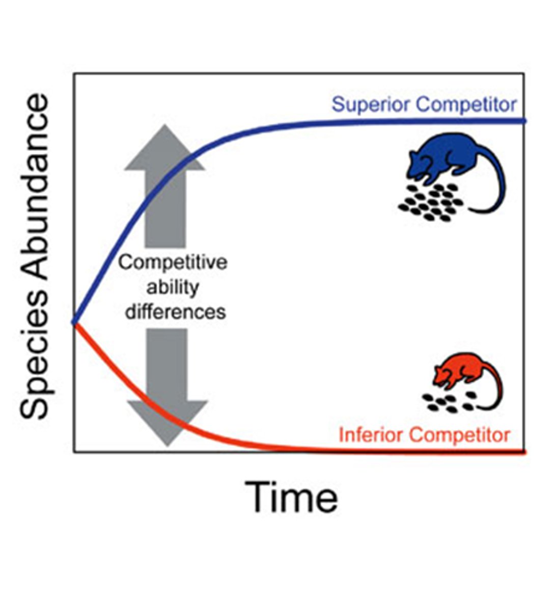 <p>Competitive exclusion principle: Two species competing for the same, limiting resources cannot coexist in the same niche indefinity. One species will ALWAYS use the resources more efficiently and cause the other species to become extinct locally.</p><p>He proposed it to explain the phenomenon of why P. aurelia always survived in the joint medium, while P. caudatum always died out.</p>