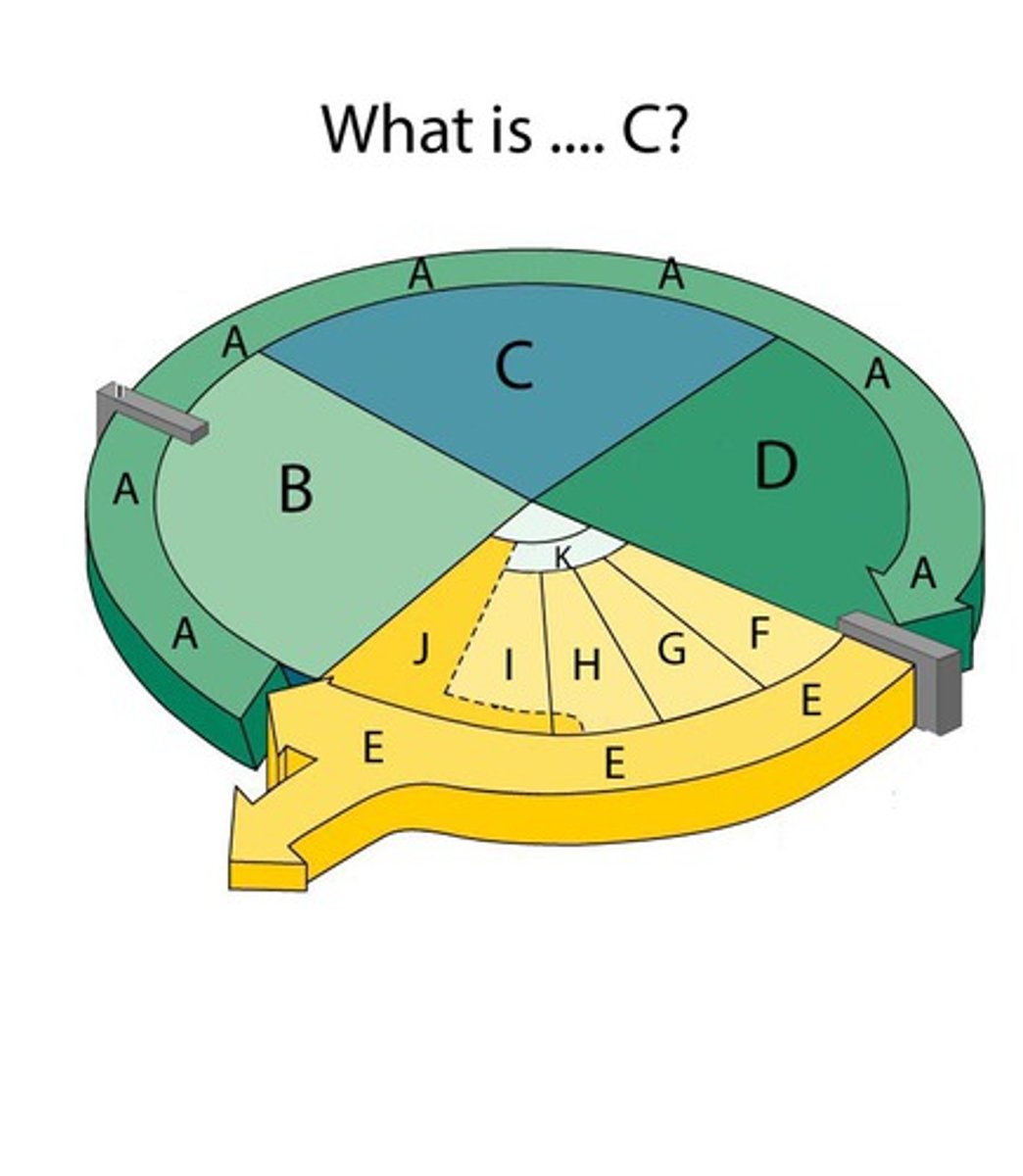 <p>The synthesis phase of the cell cycle; the portion of interphase during which DNA is replicated.</p>