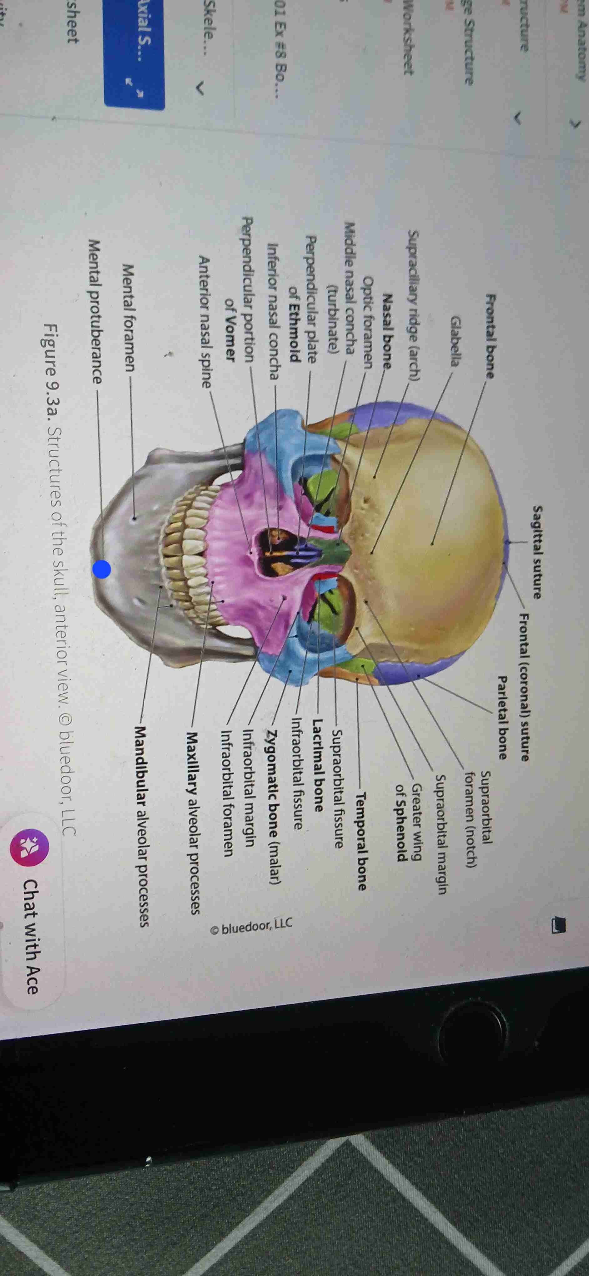 knowt flashcard image