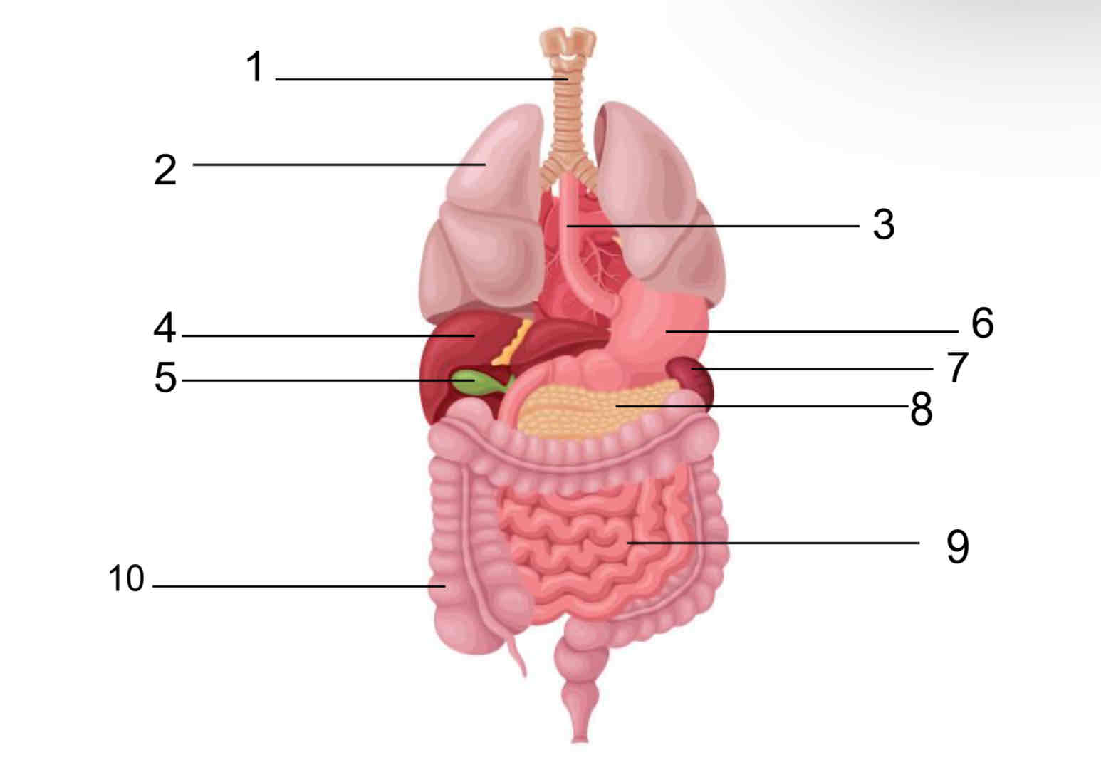 <p>4</p>