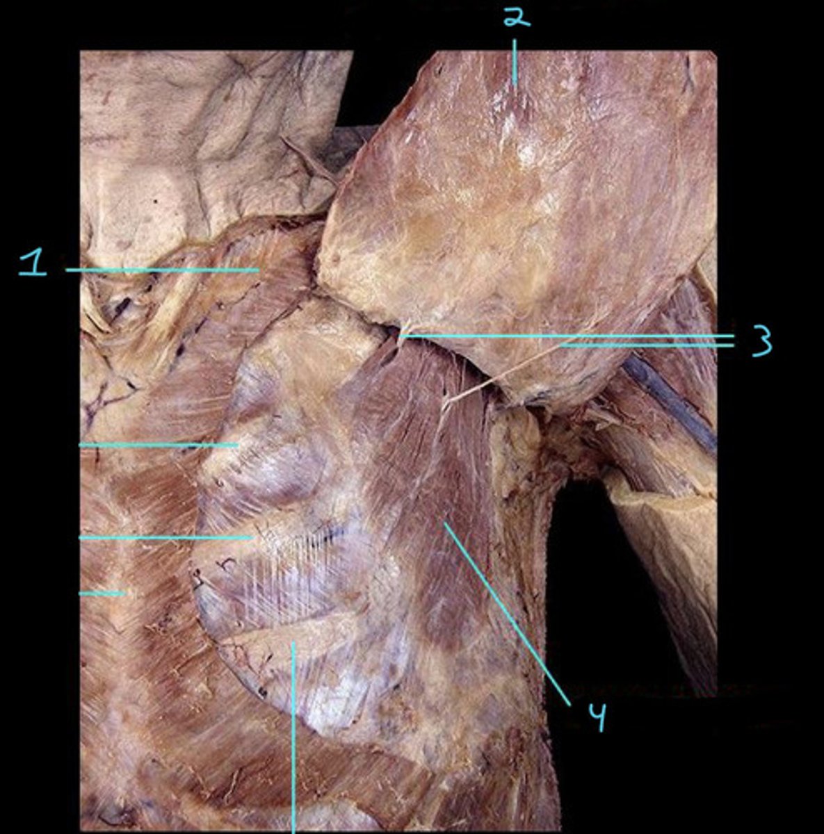 <p>2</p>