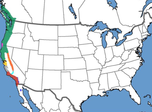 <p>Who’s range map?</p>