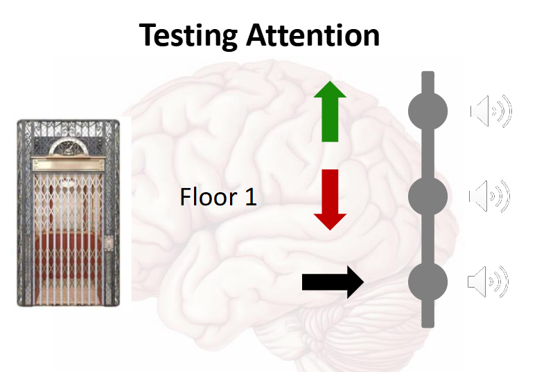 <p>using different tones to signal if you are going up or down in the elevator and then testing you on if you remember those tones</p>