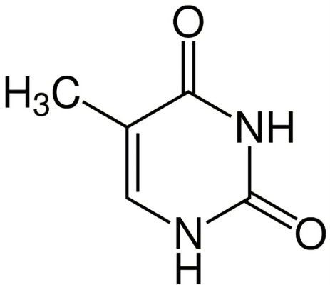 <p>What base is this?</p>