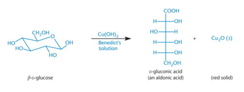 <p>The aldehyde group of an aldose is readily oxidized, creating red Cu<sub>2</sub>O; Ketoses also test positive due to tautomerization under basic conditions to form a carboxylic acid</p>