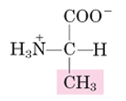 <p>A</p>