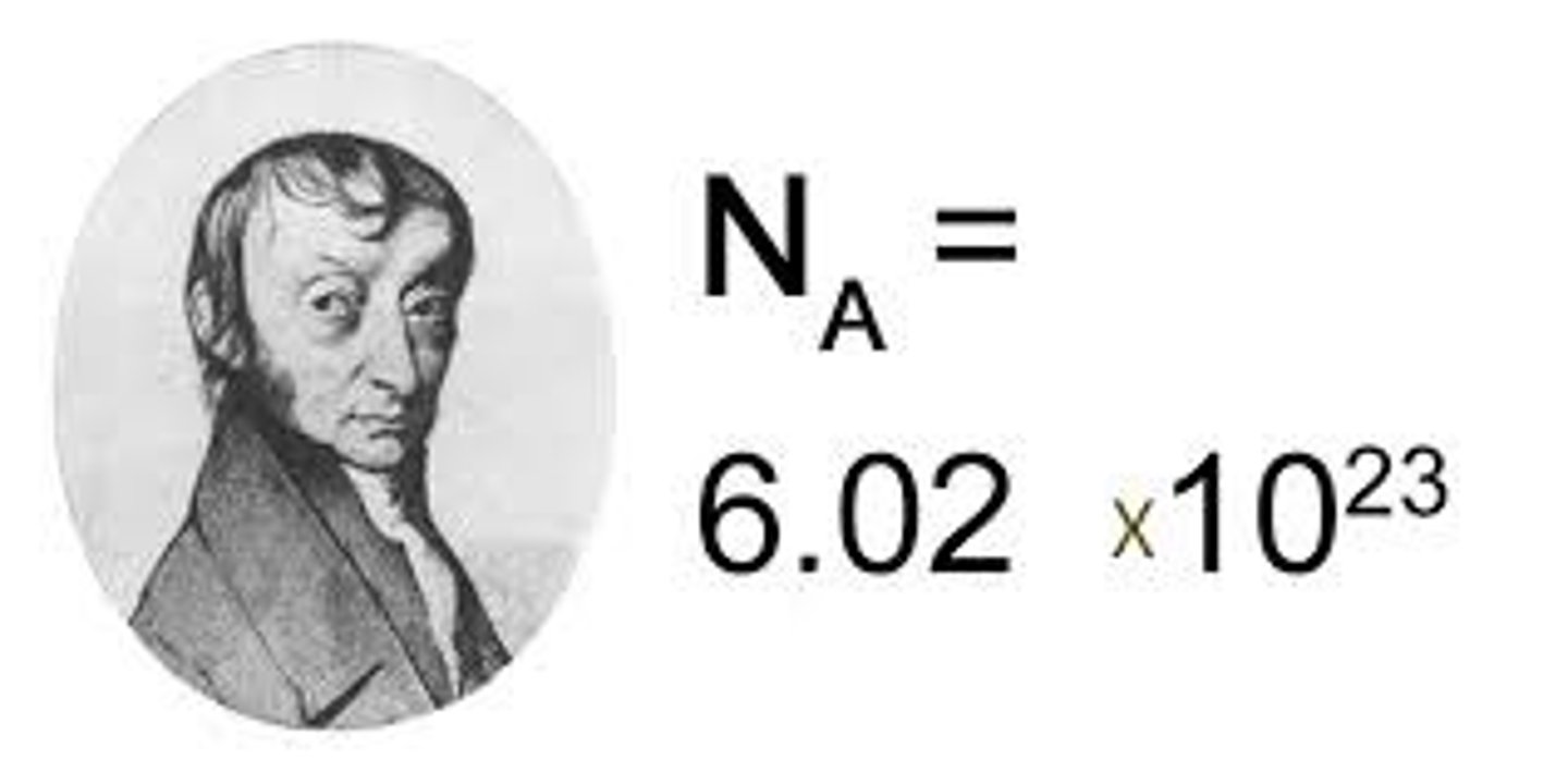 <p>avogadro's number</p>