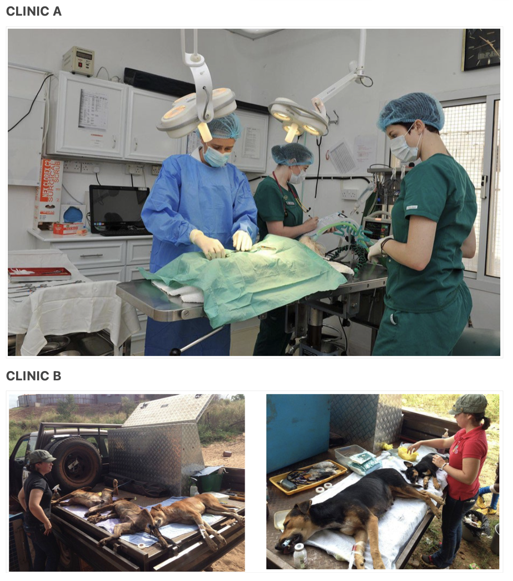 <p>Compare Clinic A and Clinic B - Discuss any ethical conflicts?</p>