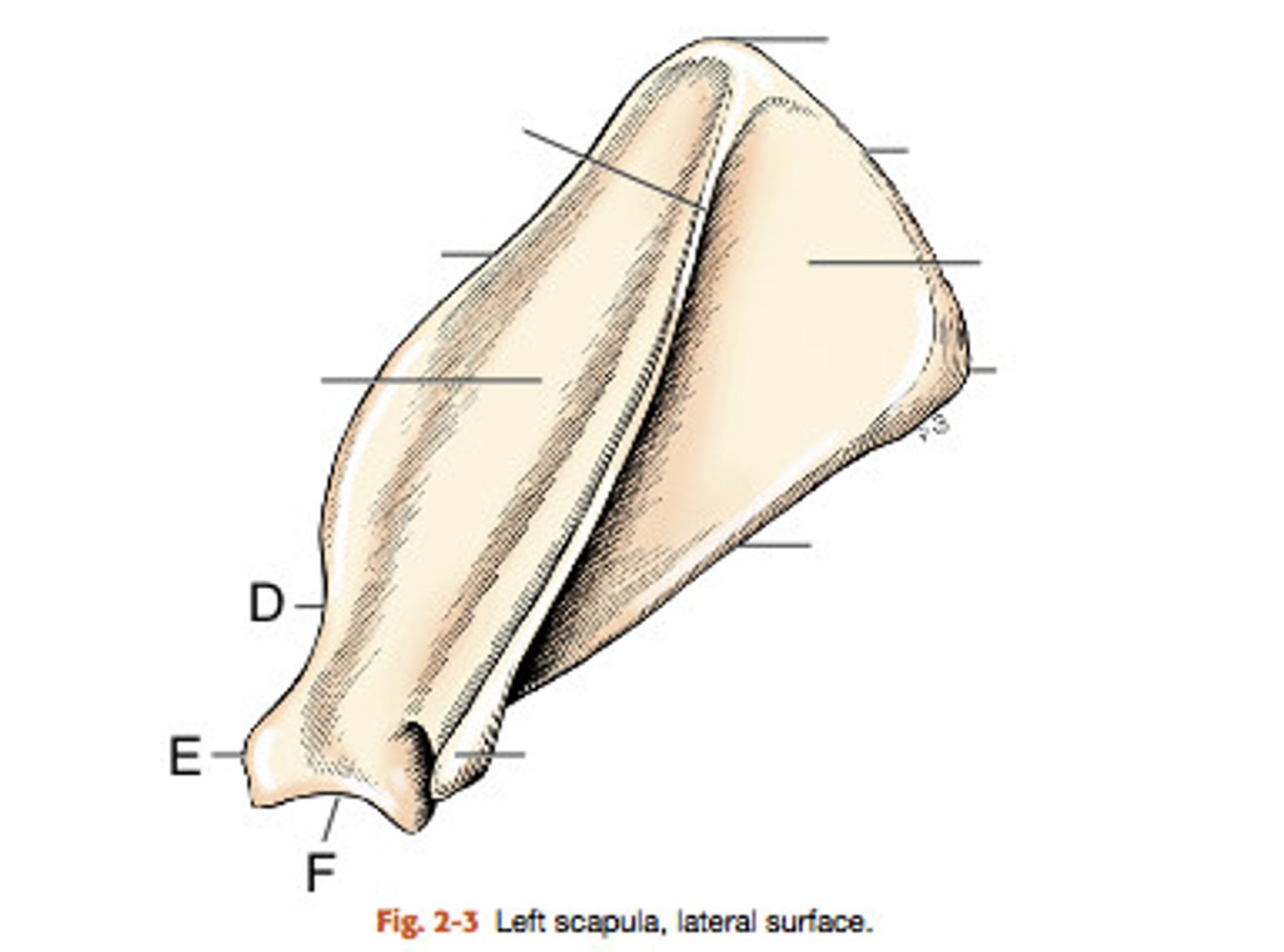 <p>What is E?</p>