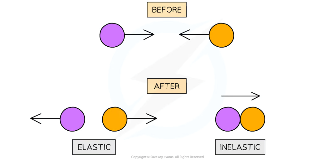 <p><strong>elastic </strong>collision - when objects collide and move in opposite directions<br>each object has a different velocity depending on its mass & initial momentum</p><p><strong>inelastic </strong>collision - when objects collide and move in the same direction together<br>the 2 objects will have a combined mass & velocity</p><p>momentum is always <strong>conserved </strong>in a collision</p>