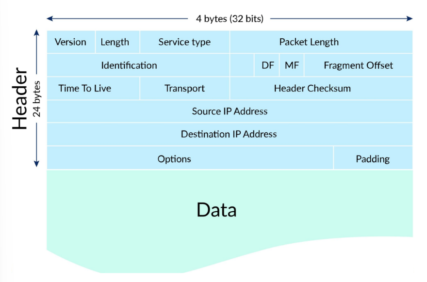 <p>IPv4 packets</p>