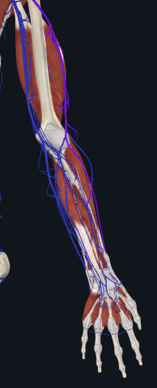 <p>What is highlighted</p>