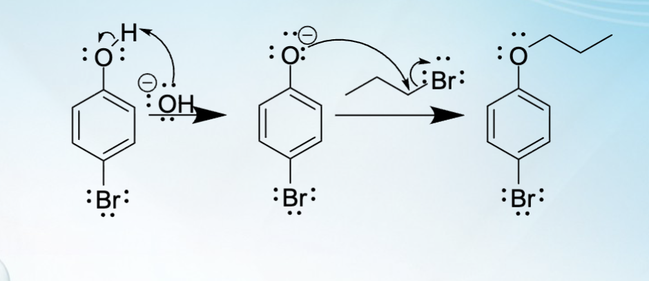 <p>Two mechanistic step for the Williamson ether synthesis</p><p>SN2 Substitution</p><p>Summary</p><ul><li><p>base catalyzed formation of the metal alkoxide/phenoxide</p></li><li><p>Nucleophilic substitution to form the ether</p></li></ul><p></p><p>Detailed</p><ul><li><p>Start with 4-bromophenol </p></li><li><p>Tetrabutylammonium bromide will be the phase transfer catalyst (PTC); this is necessary to allow for the interaction of water soluble phenoxide and water insoluble alkyl halide at the interface of the two phases</p></li></ul><p></p>