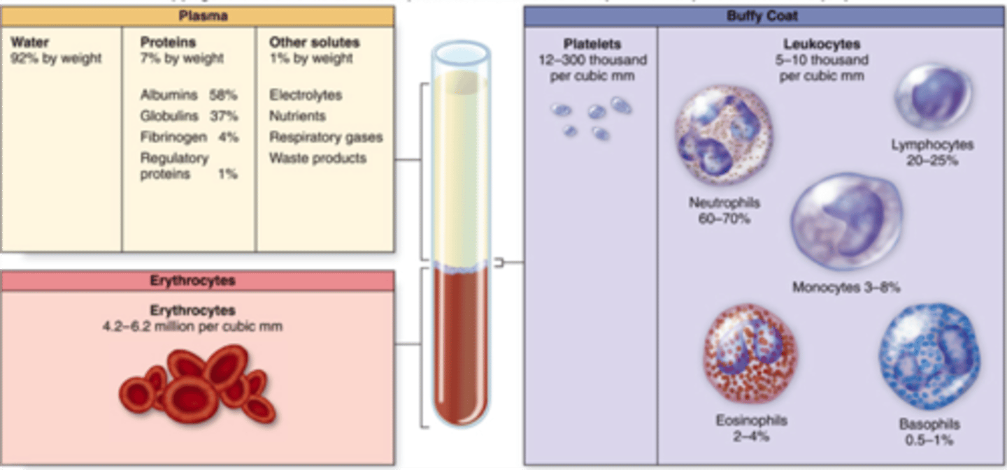 <p>1. plasma (nonliving fluid, least dense component)</p><p>2. formed elements</p><p>- Buffy coat: leukocytes and platelets (&lt;1% of blood)</p><p>- erythrocytes (most dense component)</p>
