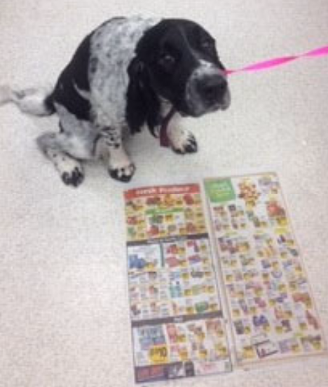 <p>-induce vomiting (unless caustic or sharp)</p><p>-endoscopic retrieval</p><p>-gastrotomy</p>