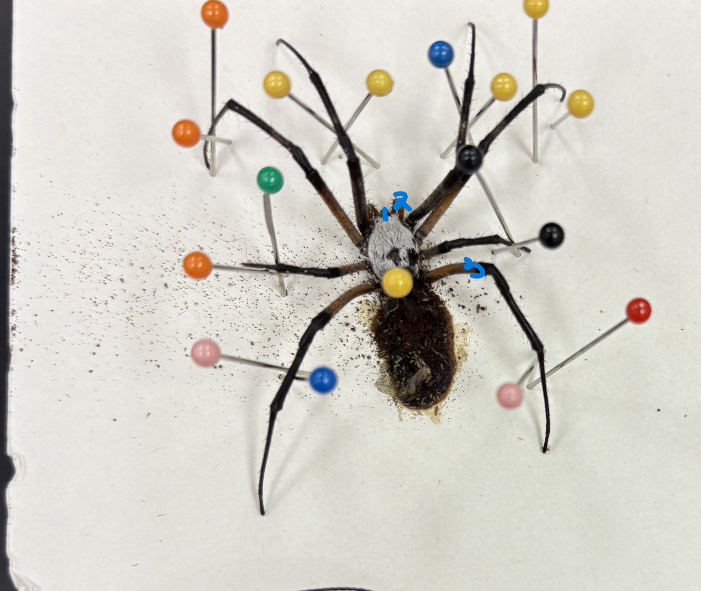 <p>name 2 and function</p>