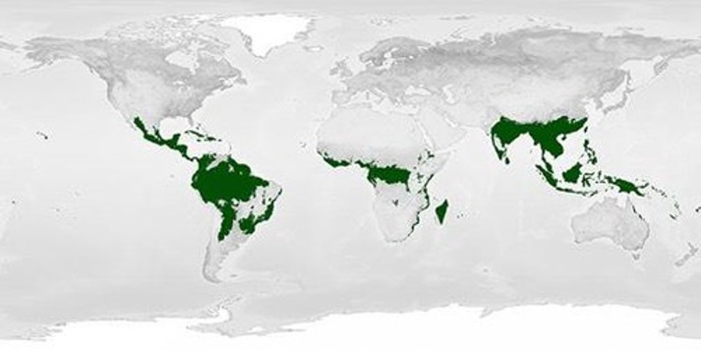 <p>Climate zones that cluster about 20 degrees north and south of the equator and have a year round temperature of about 80 degrees fahrenheit.</p><p>-Crops grown: rice, sugarcane, tobacco</p>