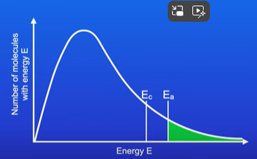 <ul><li><p>Activation energy is lowered </p></li><li><p>So more molecules are able to collide</p></li></ul><p></p>