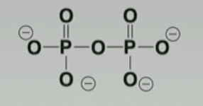 <p>Identify the functional group</p>