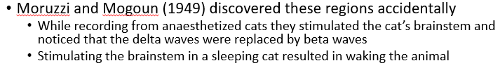 <ul><li><p>the reticular formation (Reticular Activating System - RAS) is comprised of several nuclei in the brainstem that extend to the forebrain to promote arousal</p><ul><li><p><span>Locus coeruleus (LC - NE/NA)</span></p></li><li><p><span>Raphé nucleus (RN – 5HT)</span></p></li><li><p><span>Tuberomammillary nucleus (TMN-Histamine) </span><strong><em><span>* antihistamines</span></em></strong></p></li><li><p><span>Nucleus basalis of Maynert (NBM-Ach) </span><strong><em><span>* also high during REM sleep</span></em></strong></p></li></ul></li></ul>