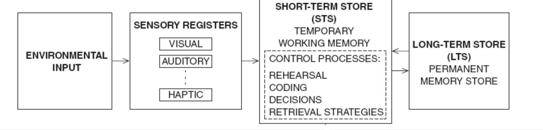 Multi-Modal Model for Memory Atkinson–Shiffrin 