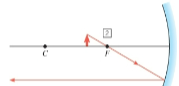goes from the top of the object through the focal length and always travels back in a HORIZONTAL