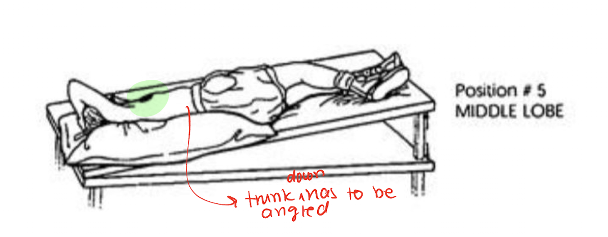 <ul><li><p>Left Sidelying </p></li><li><p>head Down 15 deg</p></li><li><p>¼ Turn Backwards</p></li></ul><p></p><p>NOTE:</p><ul><li><p>FOR R Lung » Only R Lung has Middle Lobe</p></li></ul><p></p><p></p>