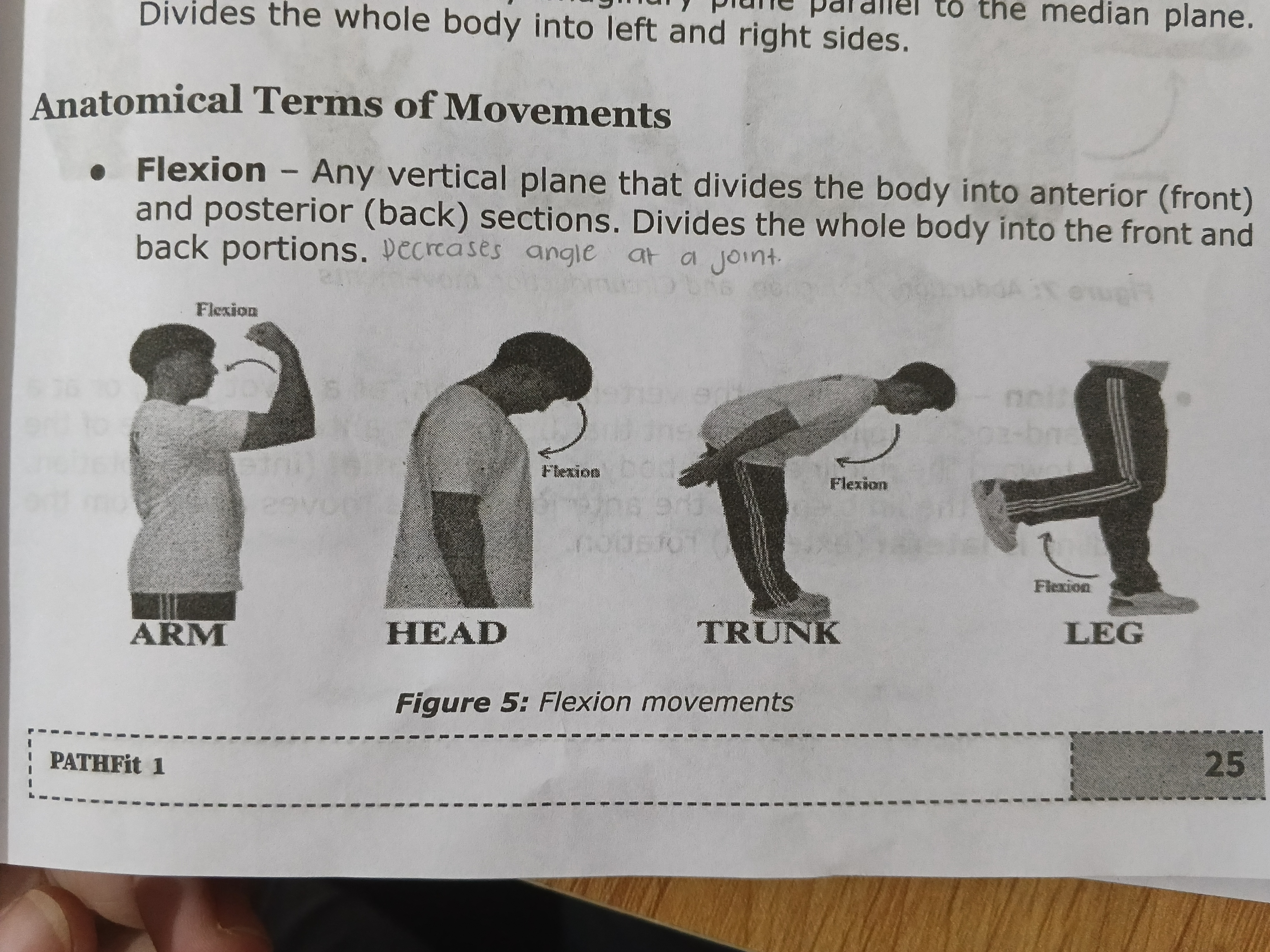 <p><strong><em>Any vertical plane that divides the body into Anterior (front) and Posterior (back) sections. </em></strong></p>