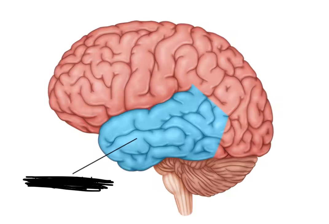 term image