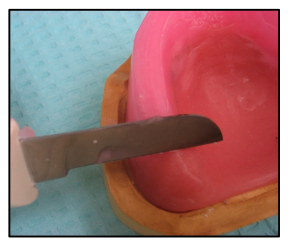 <p>Where you expect the junction of the first and second molars to be - put about a 45 degree angle on this cut</p>