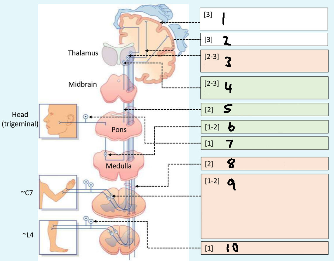 <p>What is 8?</p>