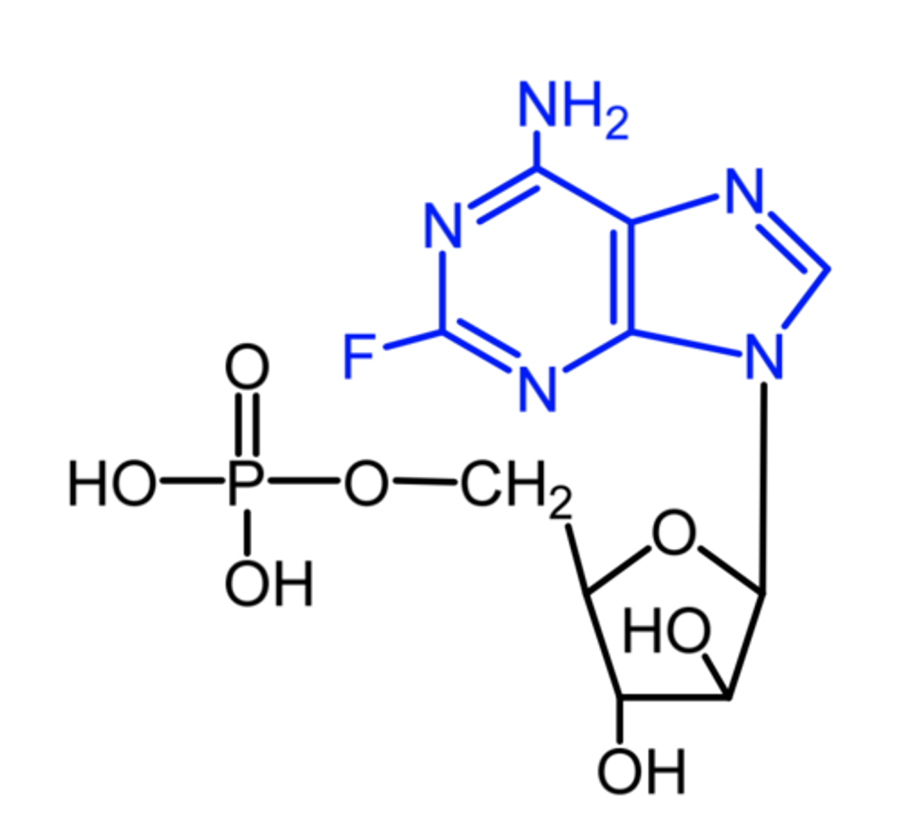 <p>(dna polymerase + chain elongation inhibitor)</p><p>ROA: IV</p><p>SAR: marketed as phosphate to inc aqueous solubility for IV admin</p><p>- triphosphorylated to active triphosphate (2-fluoro-ara-ATP) in vivo</p><p>MOA: DNA polymerase inhibitor</p><p>- ribonucleotide reductase inhibitor</p><p>indication: b-cell chronic lymphocytic leukemia</p><p>- cells w high levels of deoxycytidine kinase will respond well this agent</p><p>AE: "aids in a bottle" due to significant immunosuppressant activity</p><p>ADME: relatively resistant to degradative action of adenosine deaminase</p>
