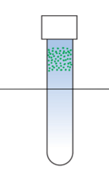 <p>What kind of organisms would grow like this in a tube with high O2 at the top to low O2 at the bottom?</p>