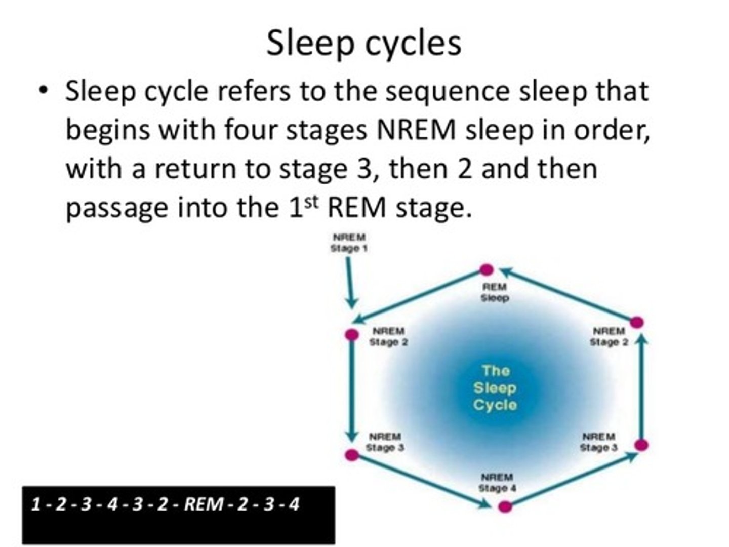 <p>(B) N1-&gt;N2-&gt;N3-&gt;N2-&gt;REM</p>