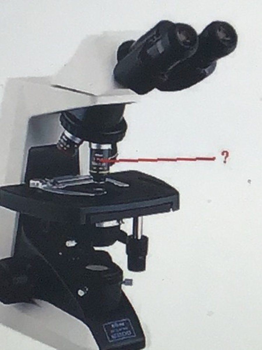 <p>objective lens</p>