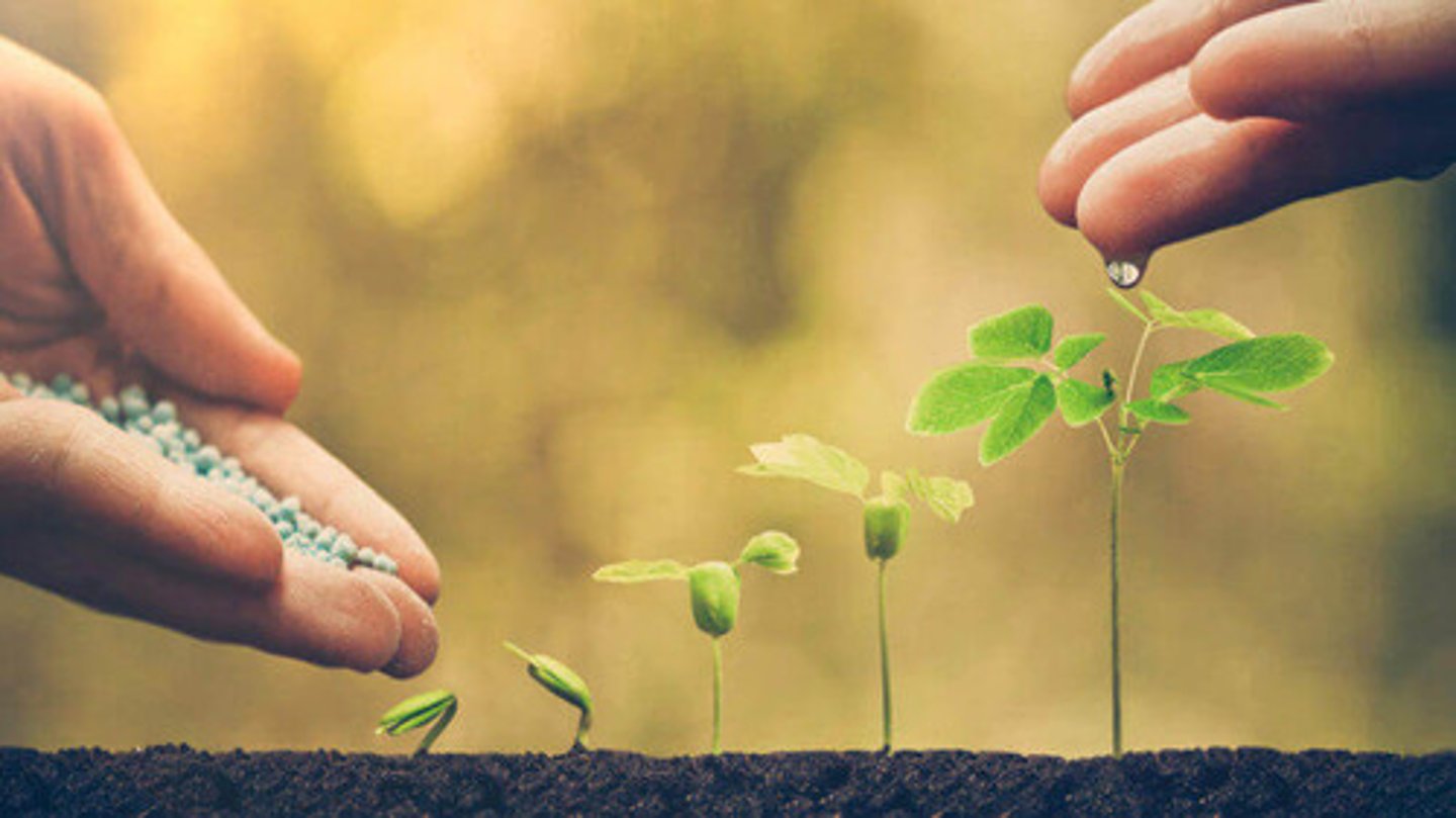 <p>nuôi dưỡng = foster, cultivate >< neglect. Ví dụ: Schools should nurture creativity in young children.</p>