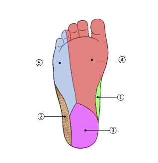 <p>4</p>
