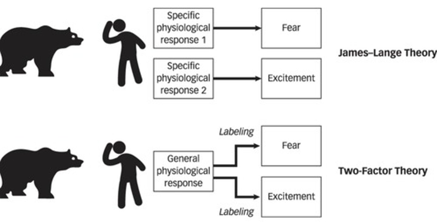 <p>Reappraisal, which involves changing one's emotional experience by altering thoughts about the emotion-eliciting stimulus.</p>