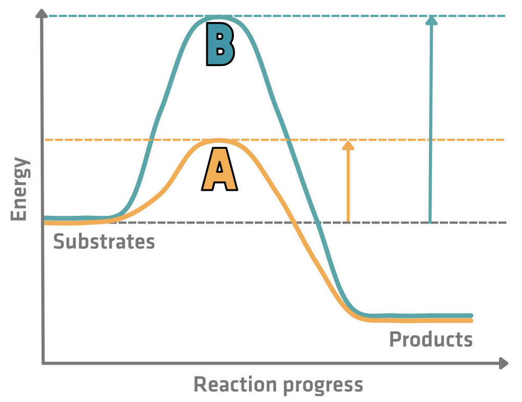 <p>Line A represents a chemical reaction _<u>?</u>_ , and Line B represents a chemical reaction _<u>?</u>_ .</p>