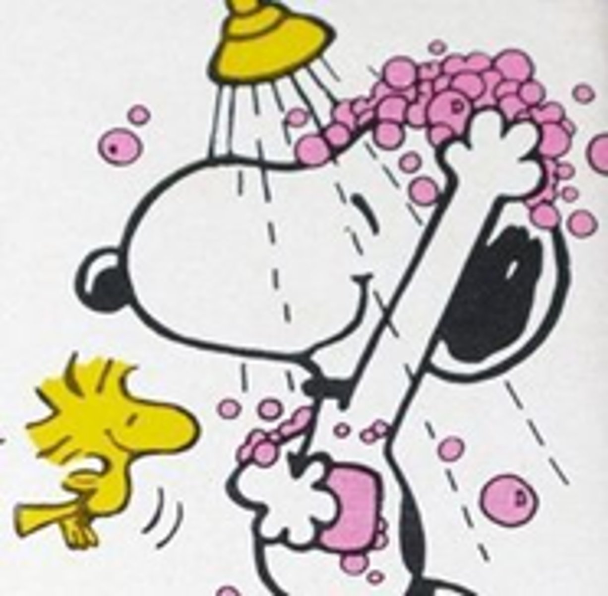 <p>to take a shower</p>