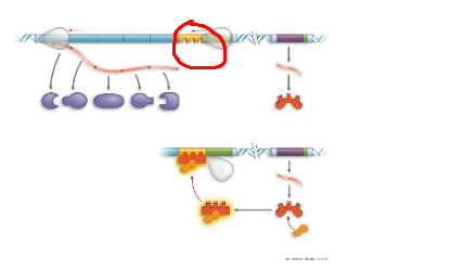 <p>What system + what structure</p>