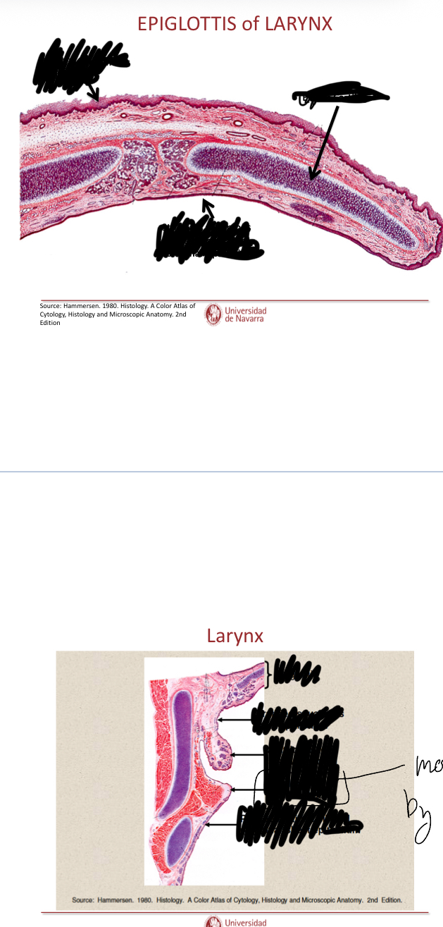 <p>Label these images</p>