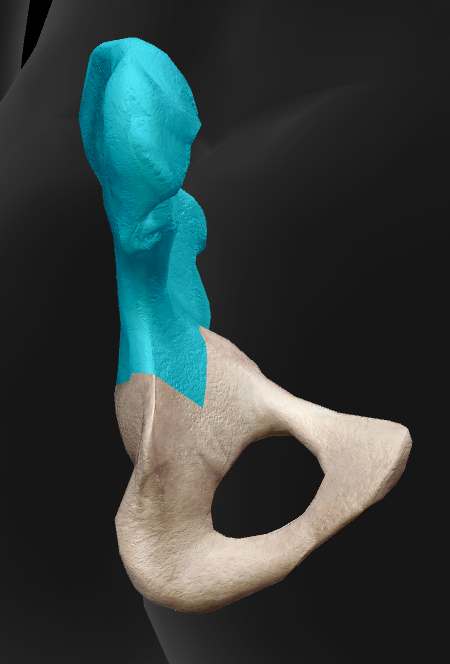 term image
