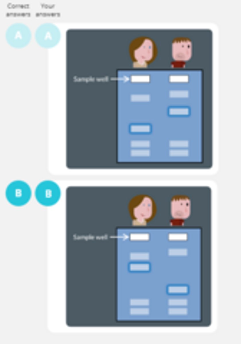 <p>Sarah's sequence will have more nucleotides and so longer fragments. More bands near the top as they travel slower.</p>