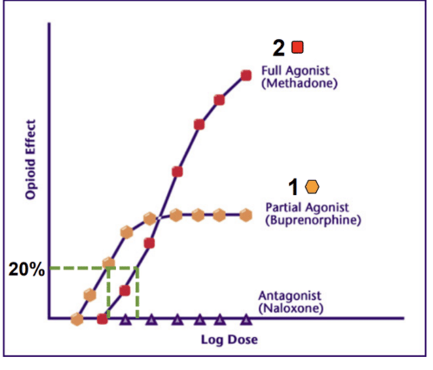 <p>YES</p><p>(in graph, the dose of the partial agonist needed to achieve 20% of max response is lower than that of the full agonist)</p>