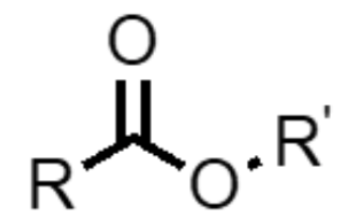 <p>What functional group is this?</p>