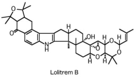 <ul><li><p>history of feed access</p></li><li><p>HIGH morbidity, LOW mortality, clinical signs</p></li><li><p><strong><u>Analyses of representative feed</u></strong></p><ul><li><p>fungal ID: ±, fungal culture: - </p></li><li><p>l<strong>oliterm analysis: +++ (have established safe/toxic doses) </strong></p></li></ul></li></ul><p></p>