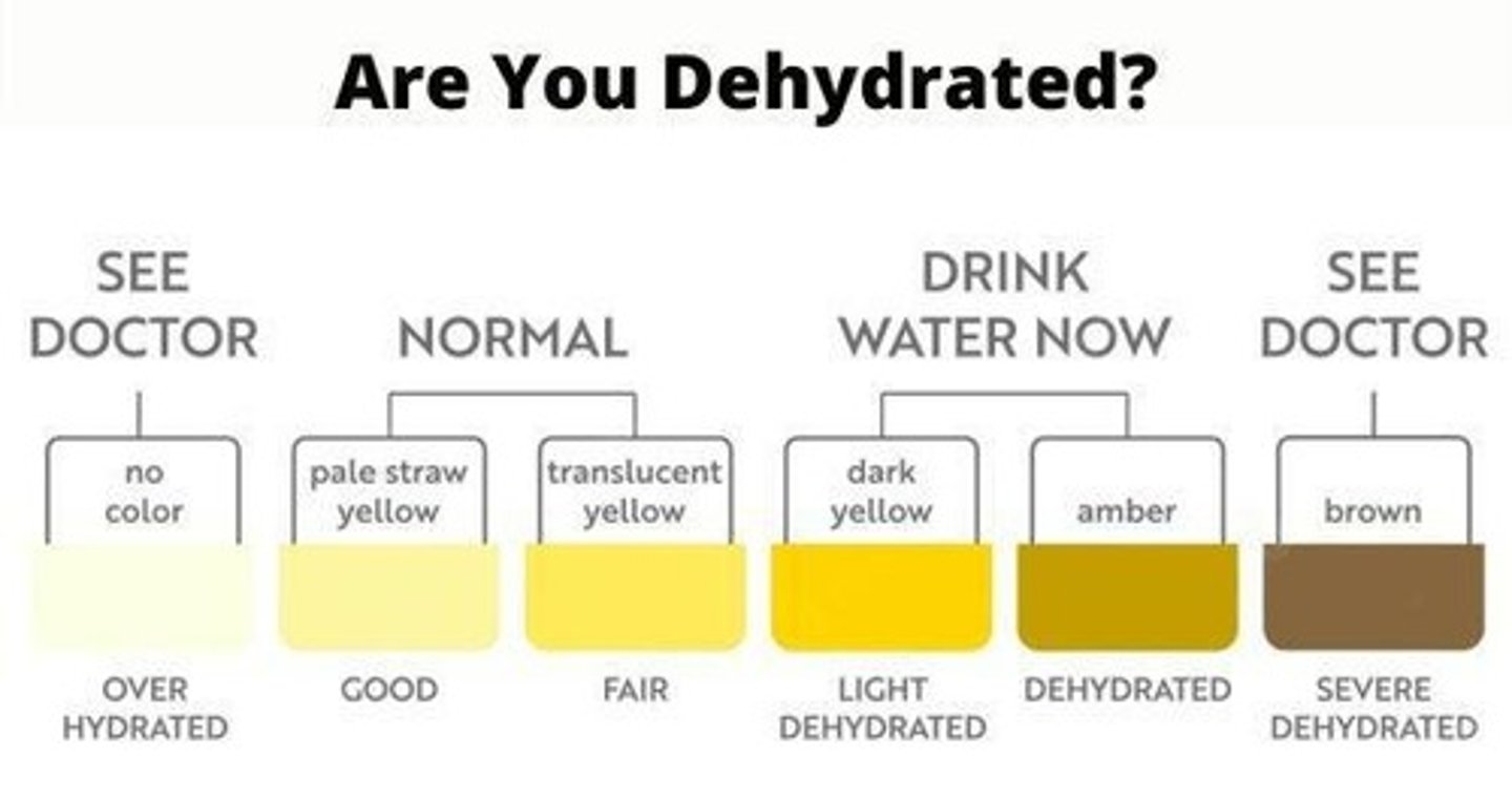 <p>It likely indicates dehydration.</p>
